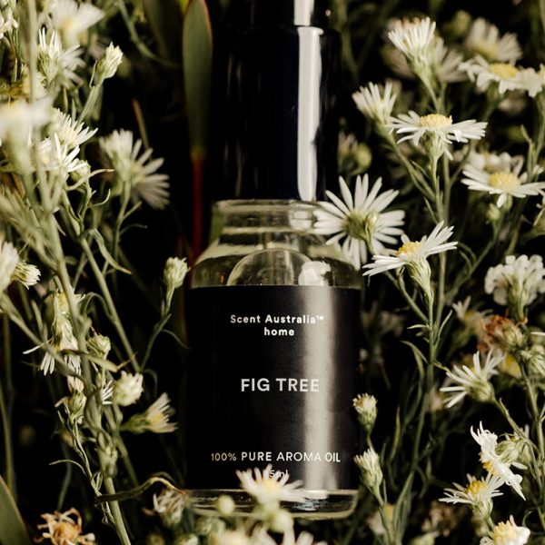 Fig Tree Oil